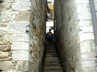 orienteering orienteering